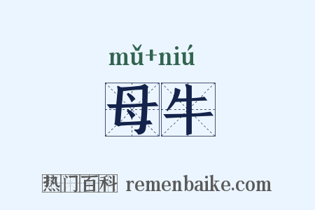 母牛是什么意思的图片